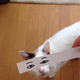 Illustration for article titled Fake Cartoon Eyes for Cats Make Everything Better